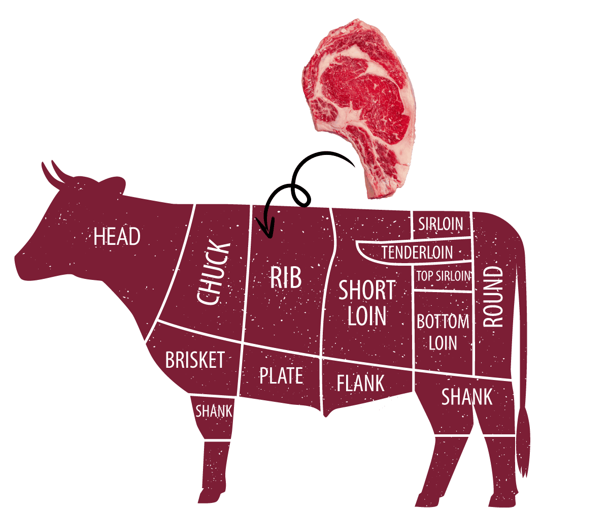 ribeye steak on a diagram of a cow